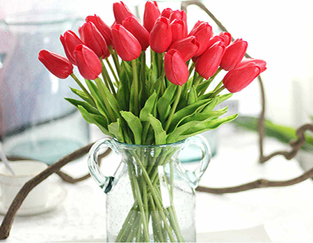 Hoa tulip đỏ thể hiện tình yêu lãng mạn